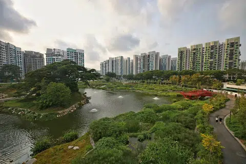 比达达利公园的设计灵感来自经典儿童故事《小熊维尼》中的百亩森林，保留了其翠绿和淳朴的自然面貌，希望为访客带来独特的游园体验。（海峡时报）