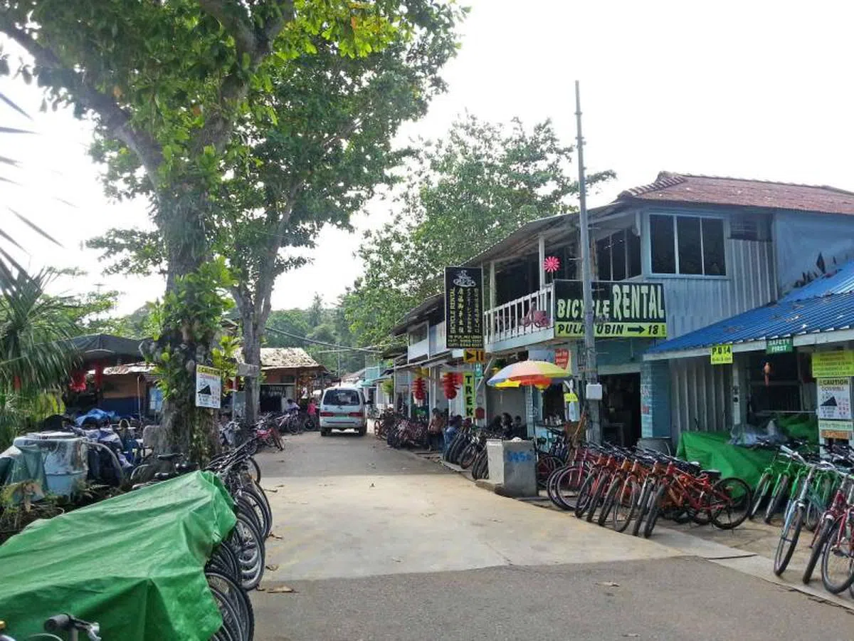  乌敏岛的原始风貌。（互联网） 