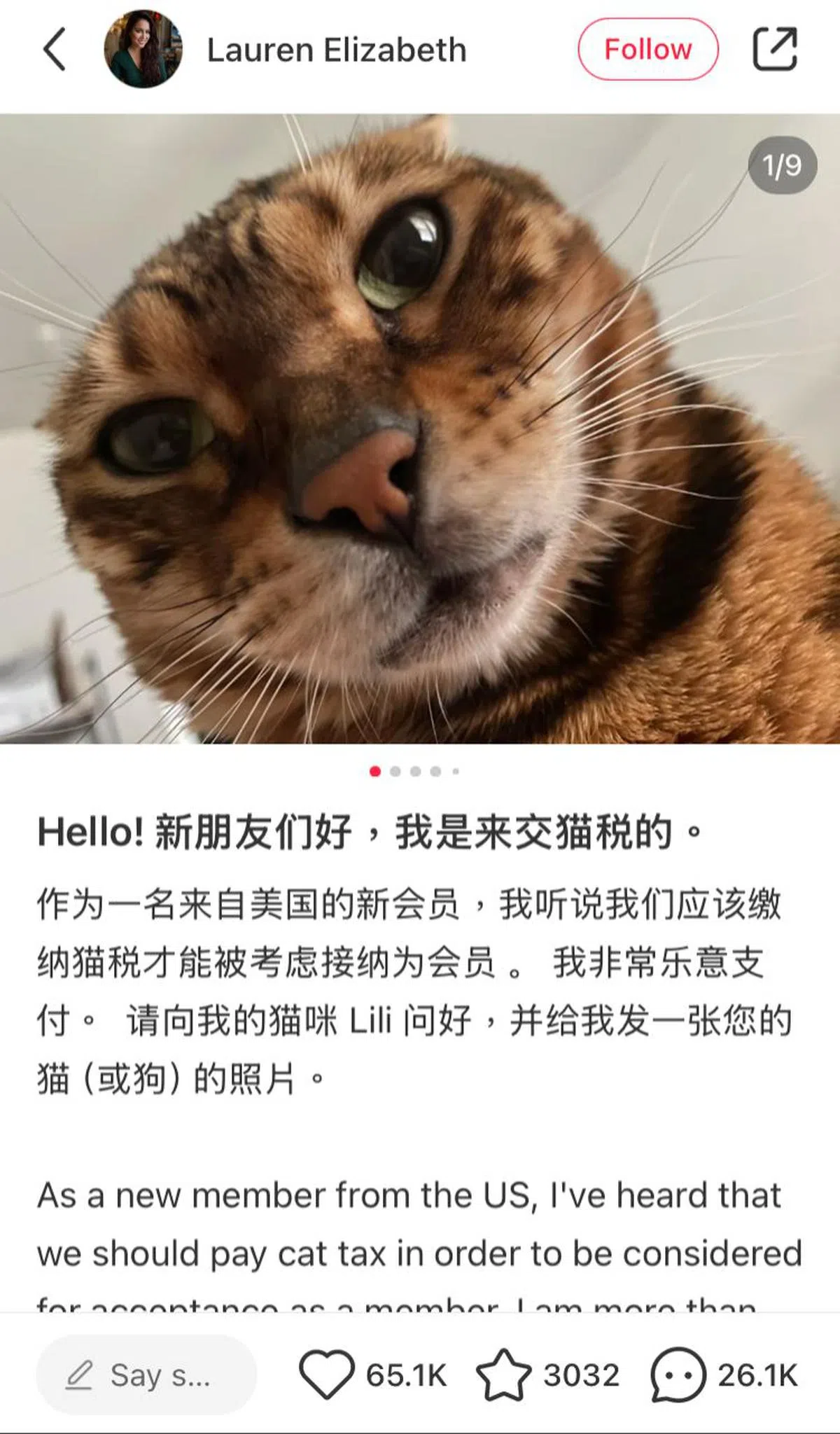 有许多TikTok难民晒出自家宠物，因为有小红书用户开玩笑说，TikTok难民必须缴了“猫税”才能留下。（小红书截图）