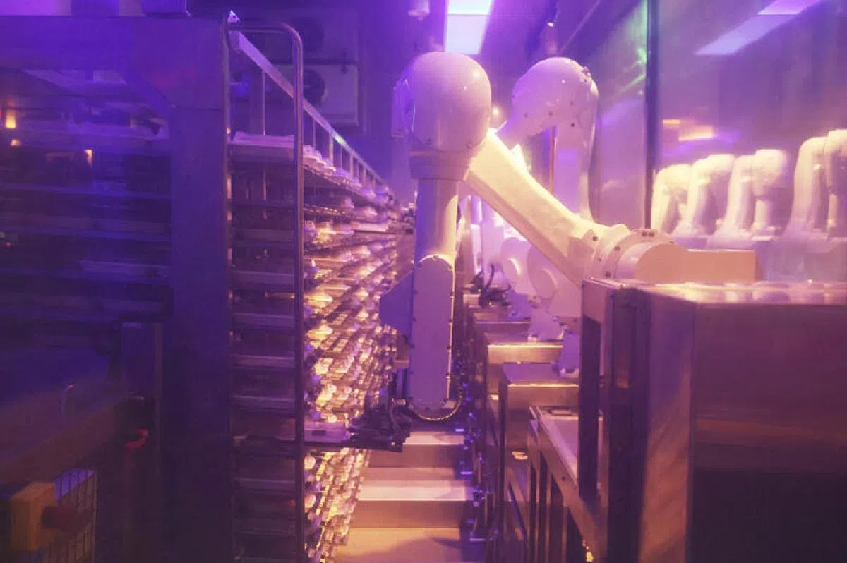 2022年，海底捞在榜鹅北岸广场设立首家海底捞机械手臂智慧餐馆，融入机械臂备菜技术，打造海外市场上的首个智慧菜品仓库。（联合早报）