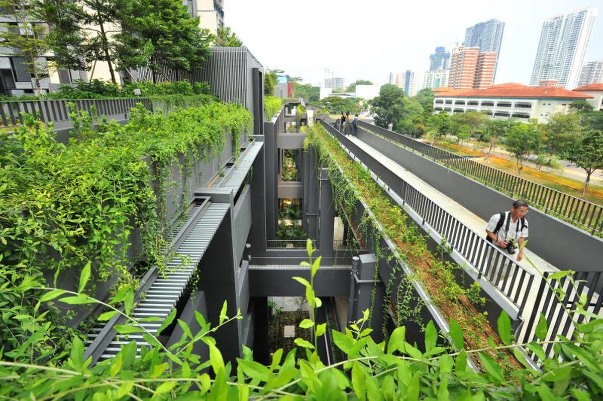  榜鹅水滨台组屋。（海峡时报） 