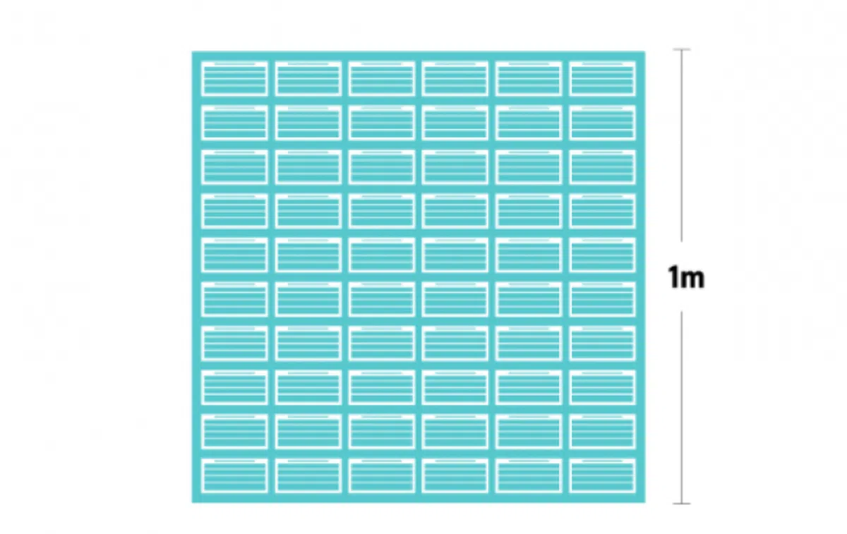 60个口罩并排放置时，可覆盖 1平方米的面积。（海峡时报）