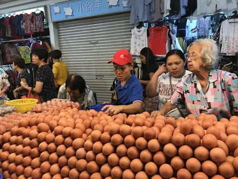 马国内忧，导致鸡蛋起价。（新明日报）