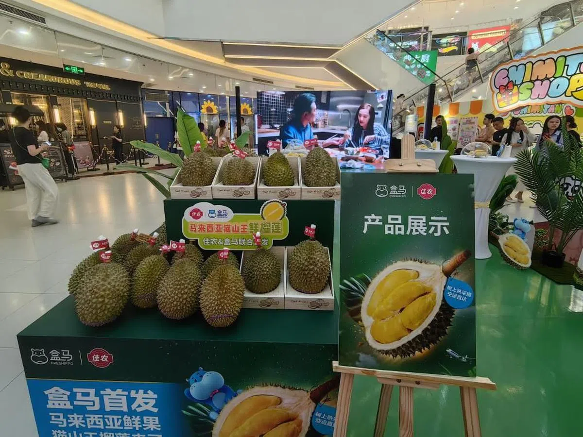 在上海中国国际进口博览会参展的马国猫山王榴梿。（互联网）