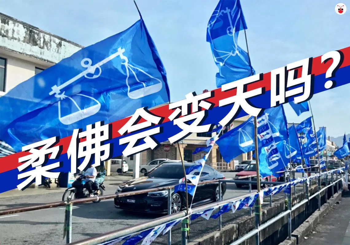 坦白说，几乎没人看好柔州会变天。（谢静怡制图）