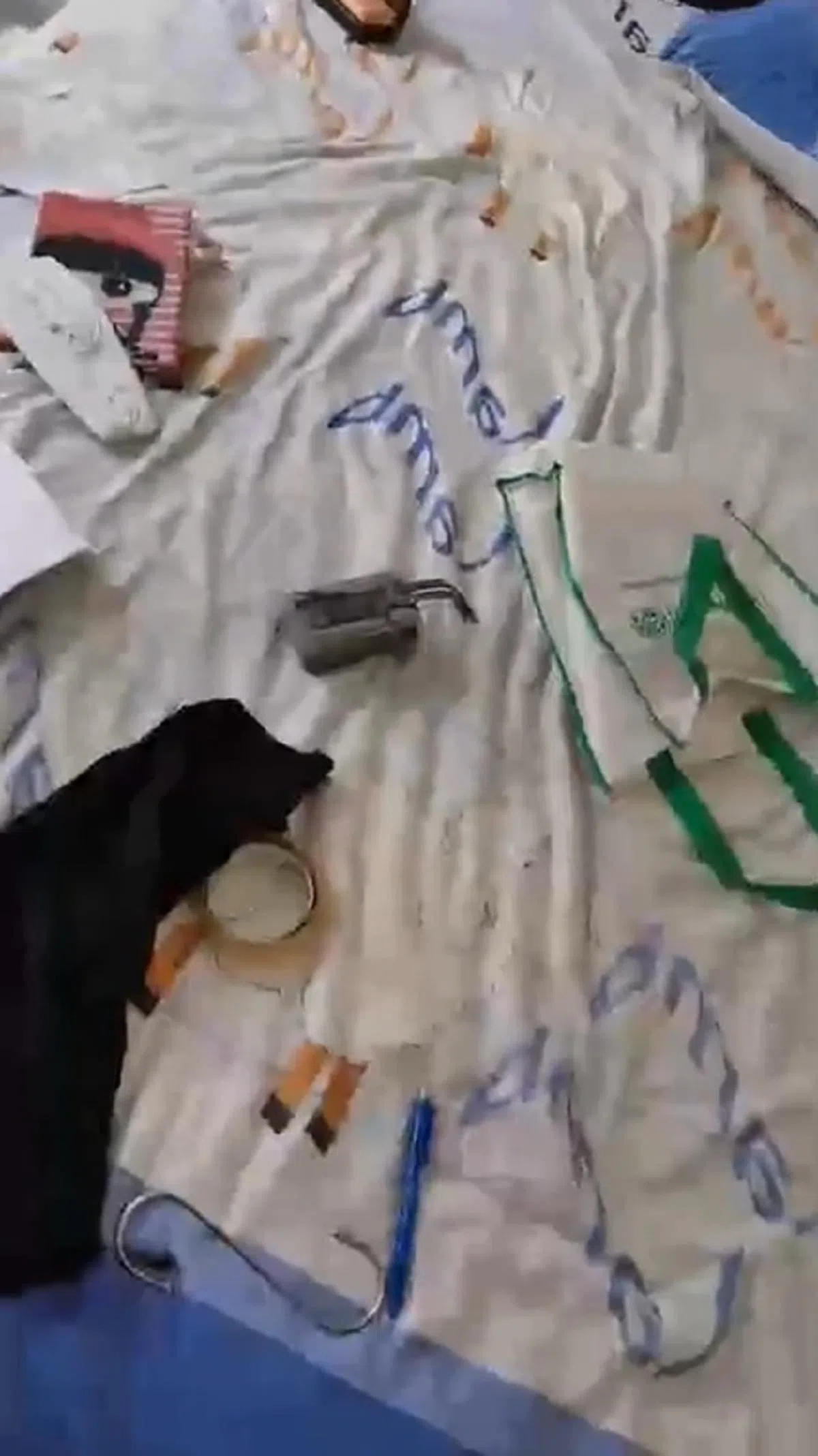  （Eva Tan 陈秋江面簿直播视频截图） 