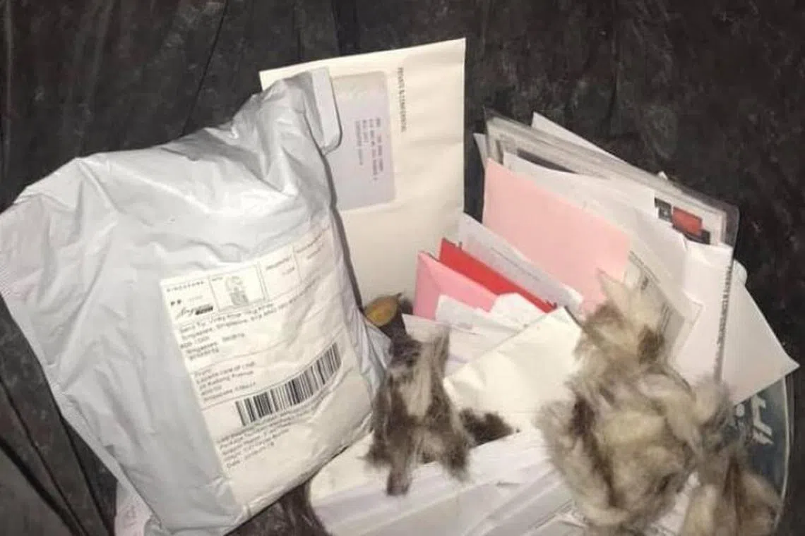 新邮政邮差将信件丢弃。（取自面簿）