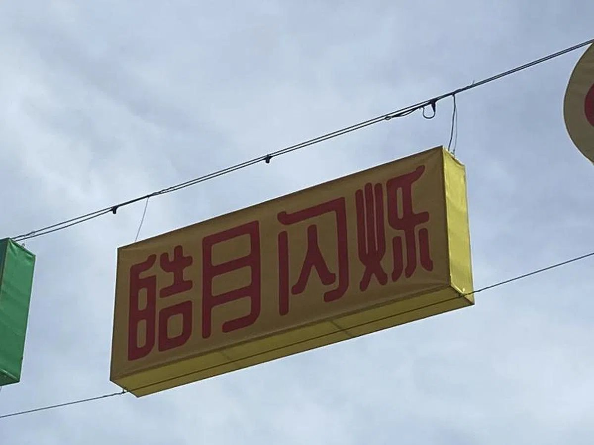  只见过星星闪烁的红蚂蚁感到很纠结：有一闪一闪的月亮吗？（红蚂蚁摄） 