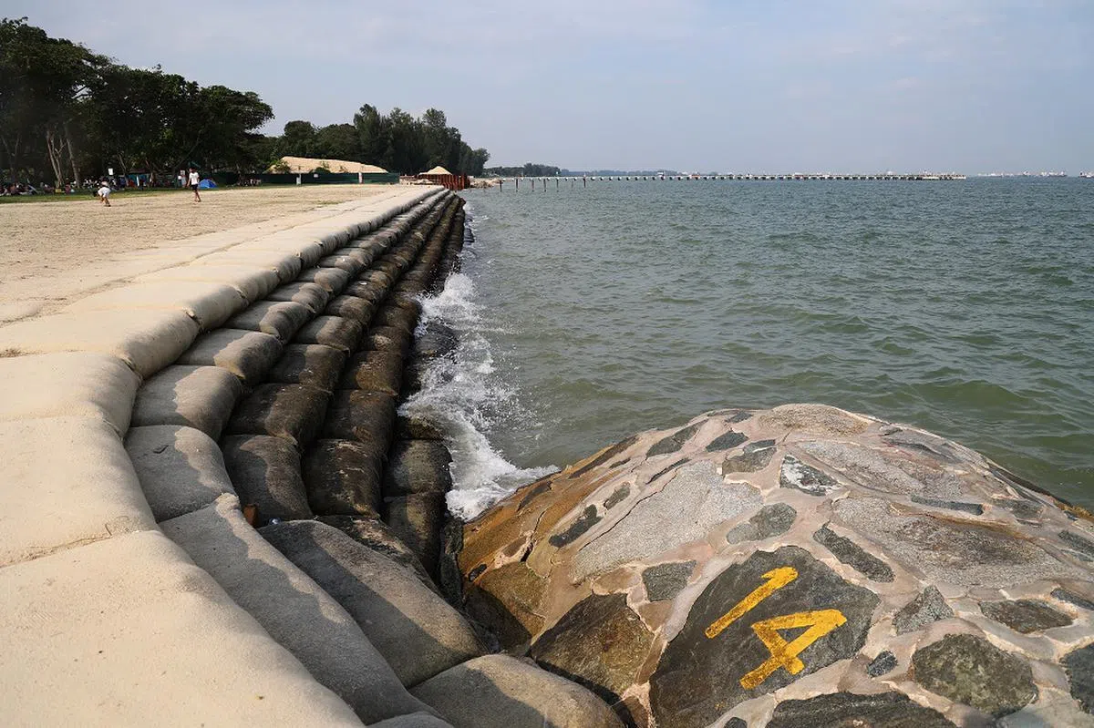 海平面上升将提高沿海低洼地区的淹水风险。（联合早报）
