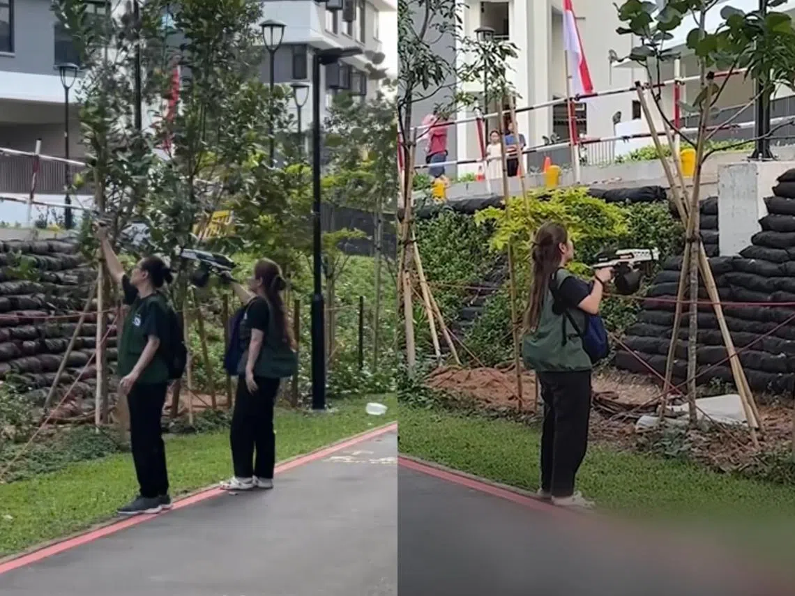 身穿着公园局制服的工作人员在榜鹅一带发射水弹赶猴。(TikTok用户coconoteee）