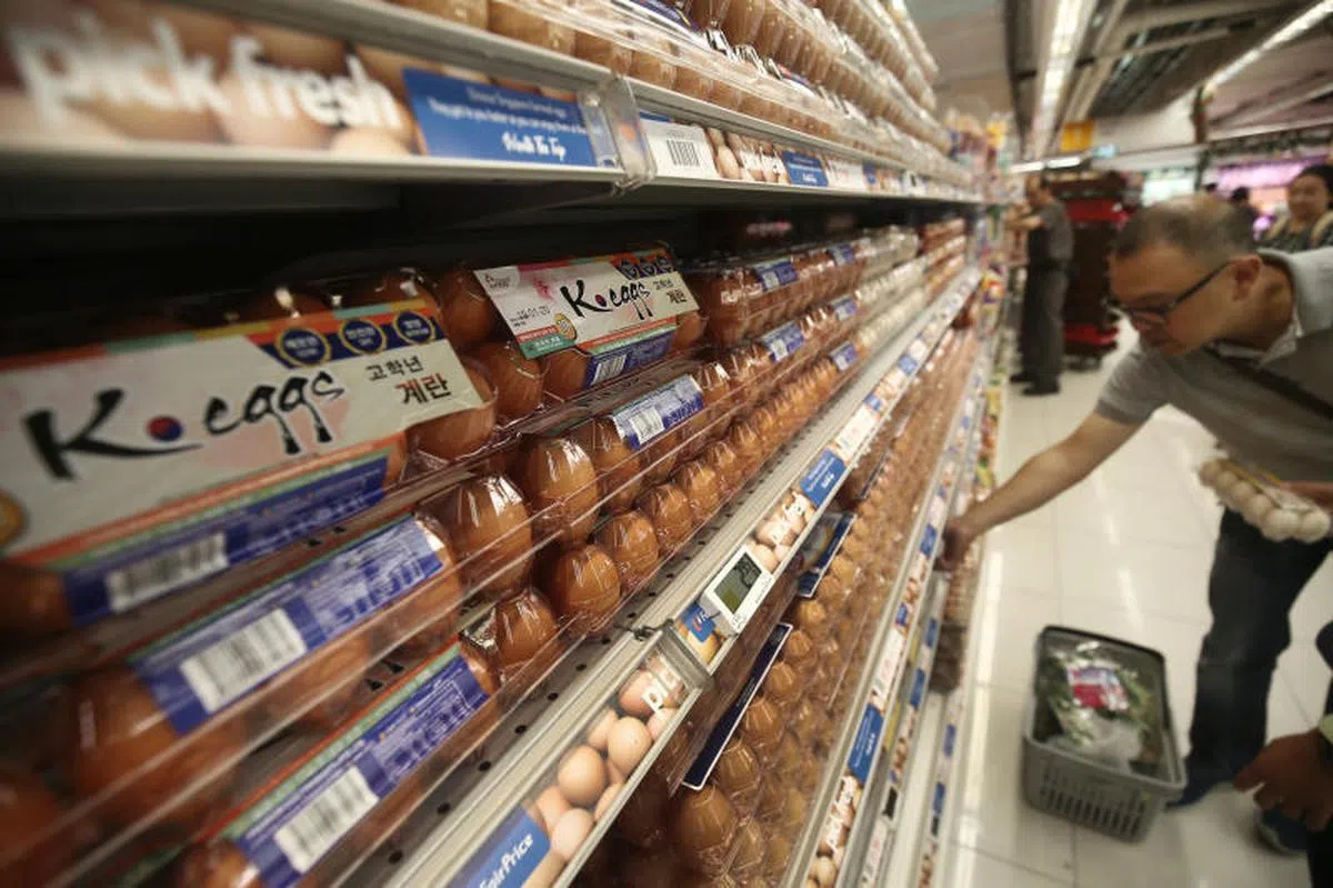  韩国鸡蛋恢复认证资格，时隔五年重返我国市场。职总平价超市从2019年12月17日起，逐步在所有的平价Xtra霸级市场，以及部分平价Finest精品超市售卖韩国鸡蛋。（联合早报） 