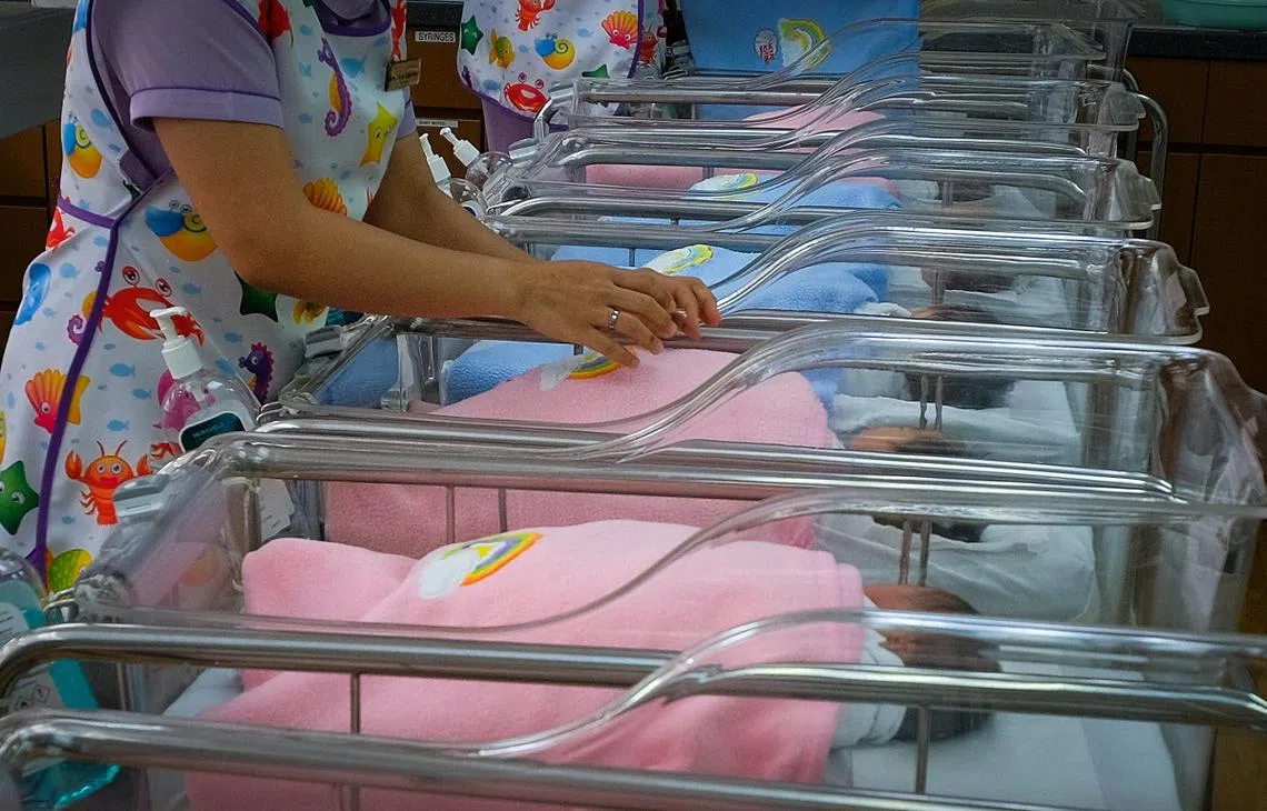 安微尼亚山医院育婴室内的婴儿。（联合早报）