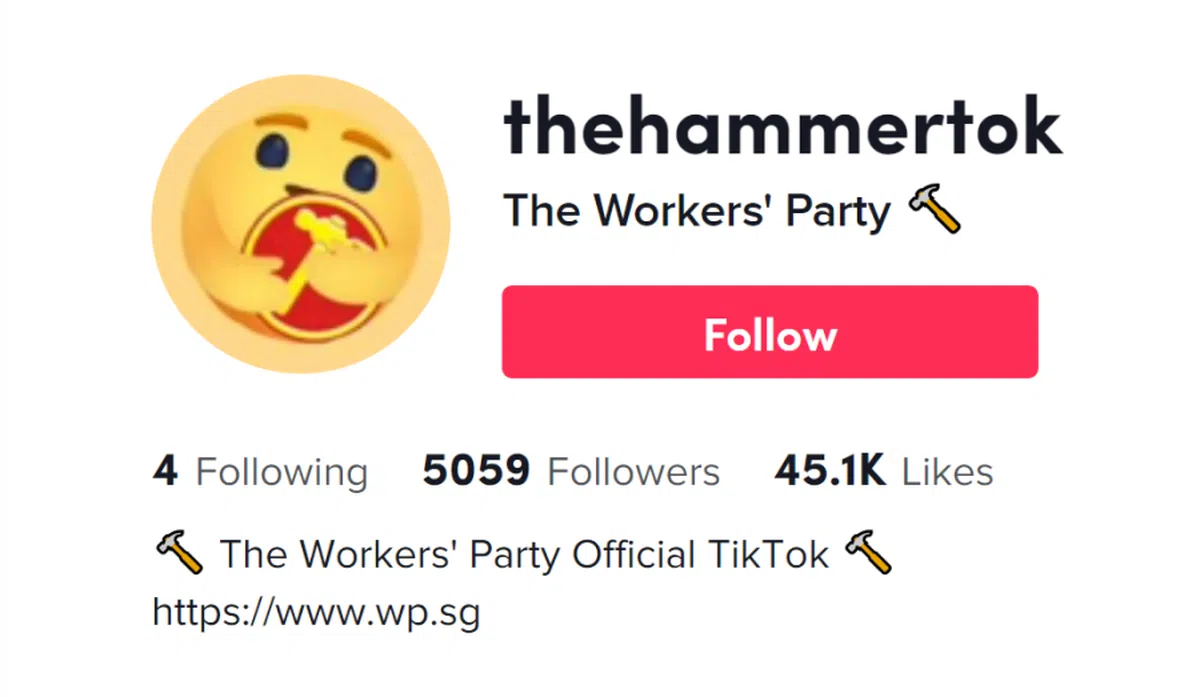 工人党TikTok账号（TikTok截图）