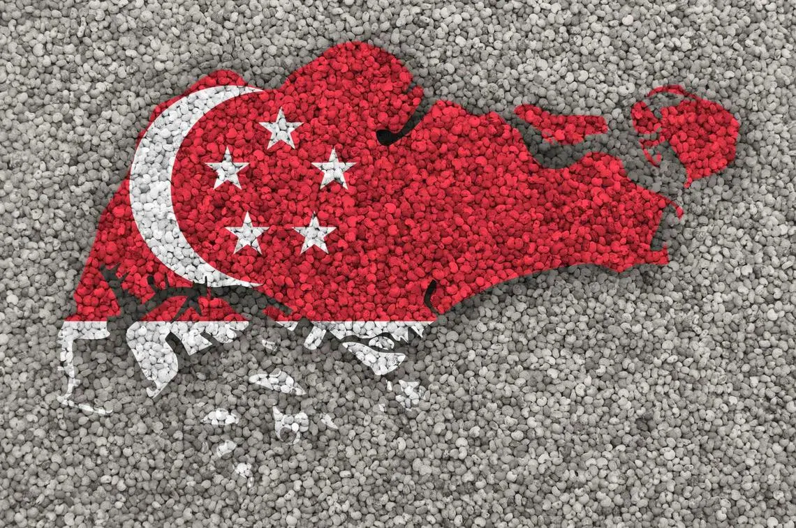 你觉得新加坡的版图形状像什么？（取自何晶脸书）