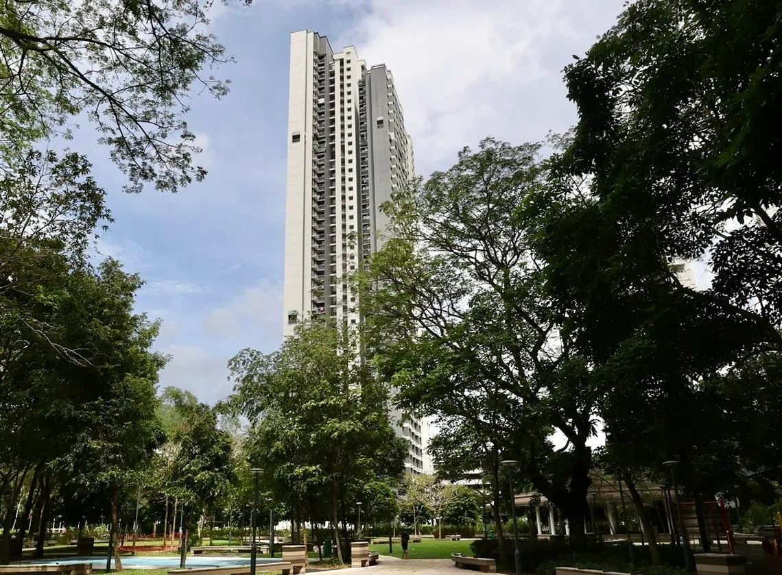 女皇镇SkyParc@Dawson第95座组屋。