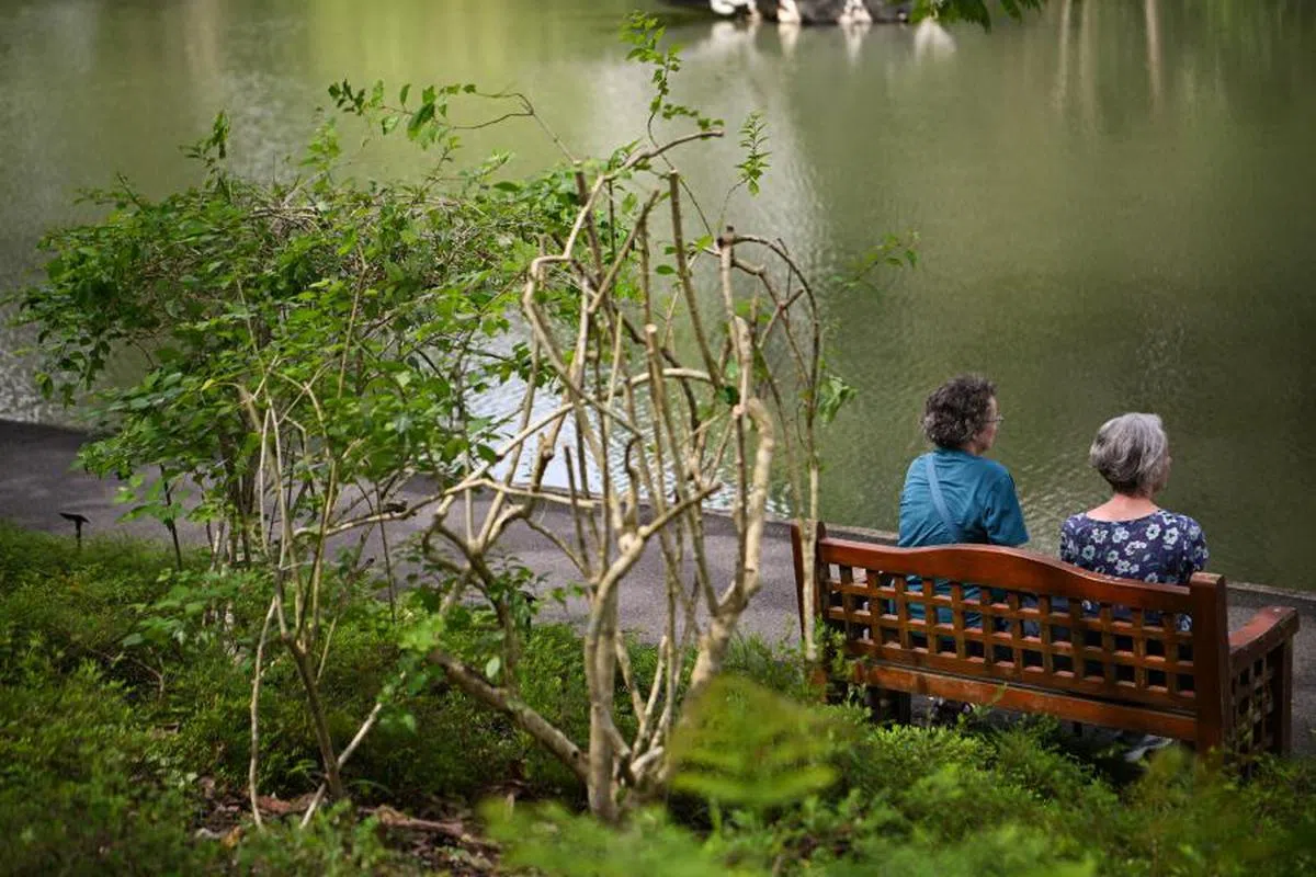 新加坡将在2030年迈入超级老龄化社会，届时将有约四分之一国人年逾65岁。（海峡时报）