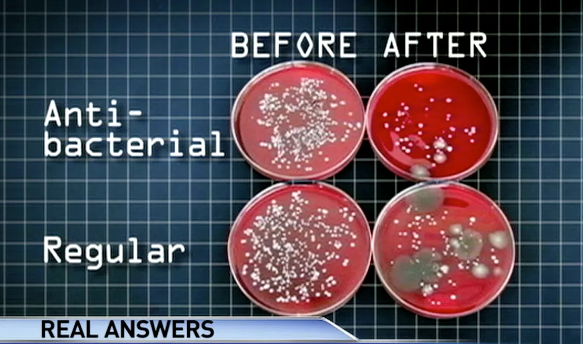  上排：杀菌肥皂。左为洗手前，右为洗手后。下排：普通肥皂。左为洗手前，右为洗手后。（视频截图）  