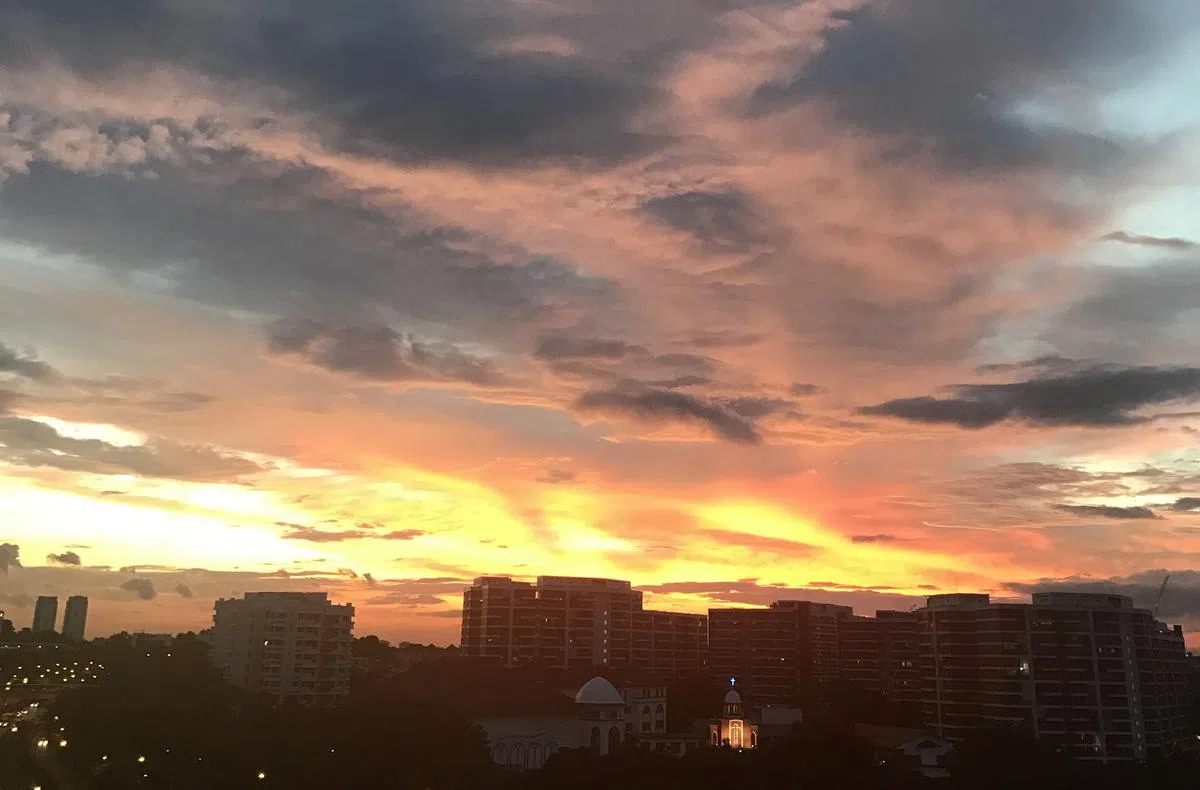  （2016年12月30日谢静怡摄） 