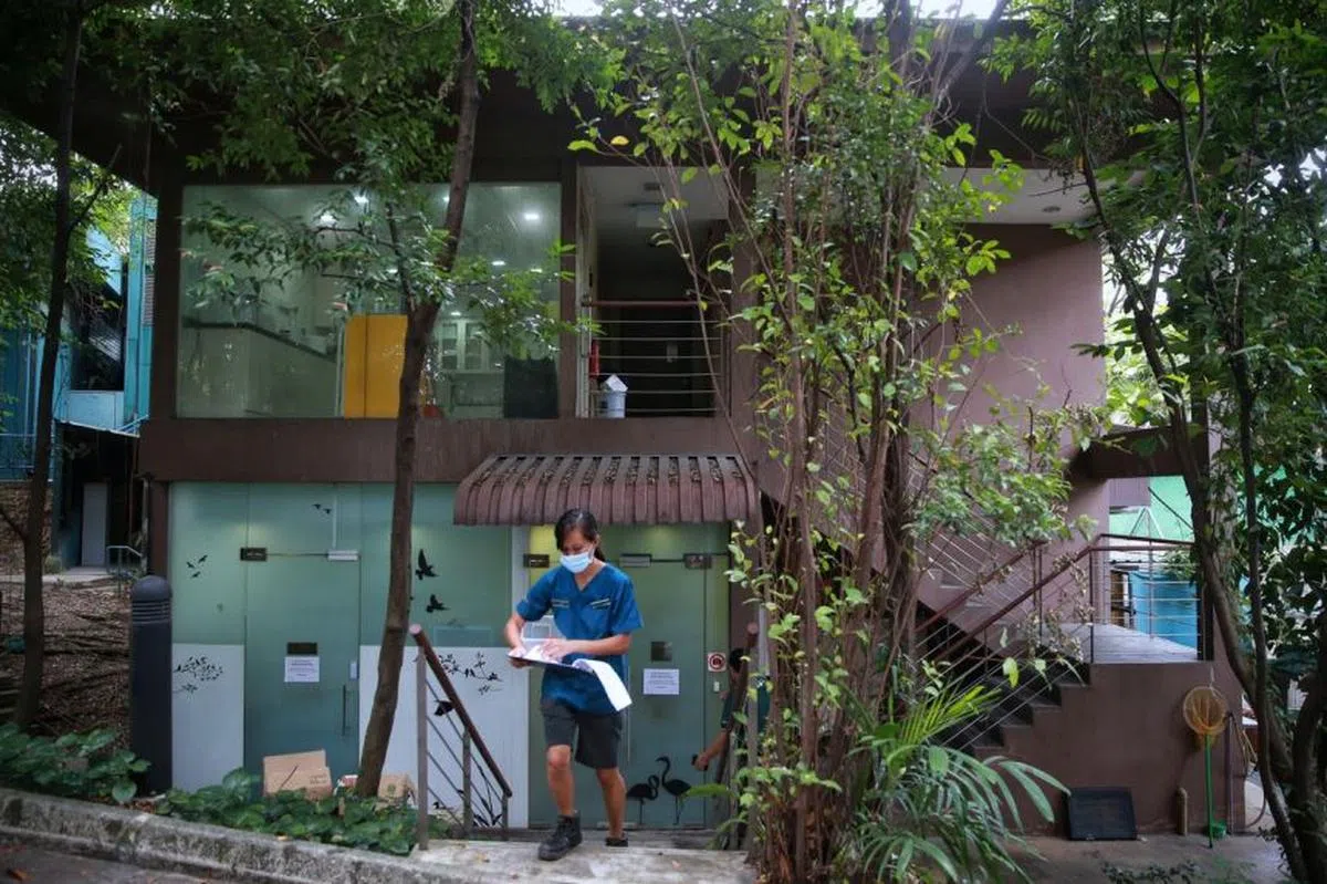  兽医Gabrina Goh离开飞禽专科医院到园内巡视。（海峡时报） 