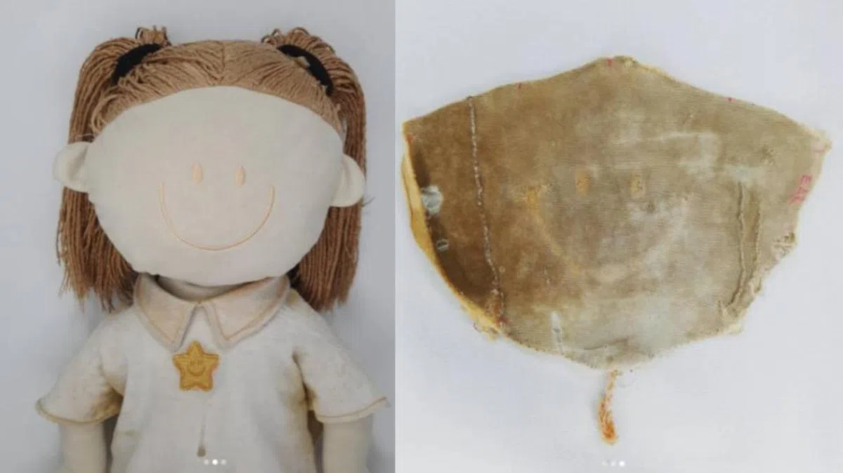 （Soft Toy Hospital Instagram, 红蚂蚁制图）