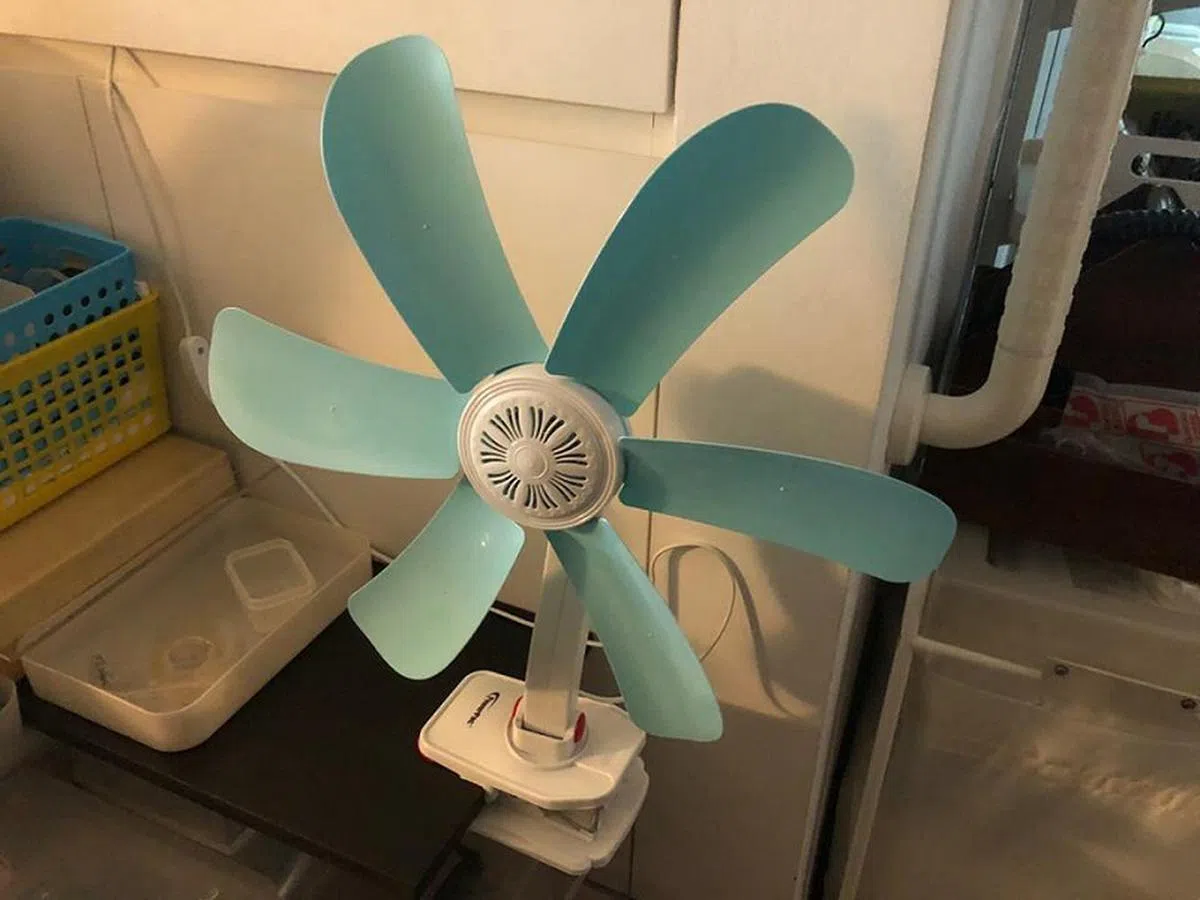  （侯佩瑜摄） 