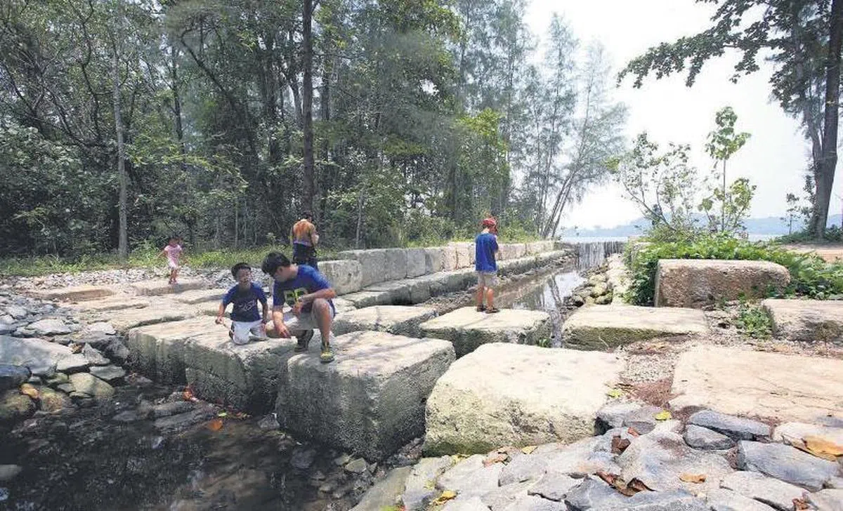  虽然尽量保持了全岛的原生态，不过这里并非脏乱无序，很适合带老人小孩一同郊游。（联合早报） 