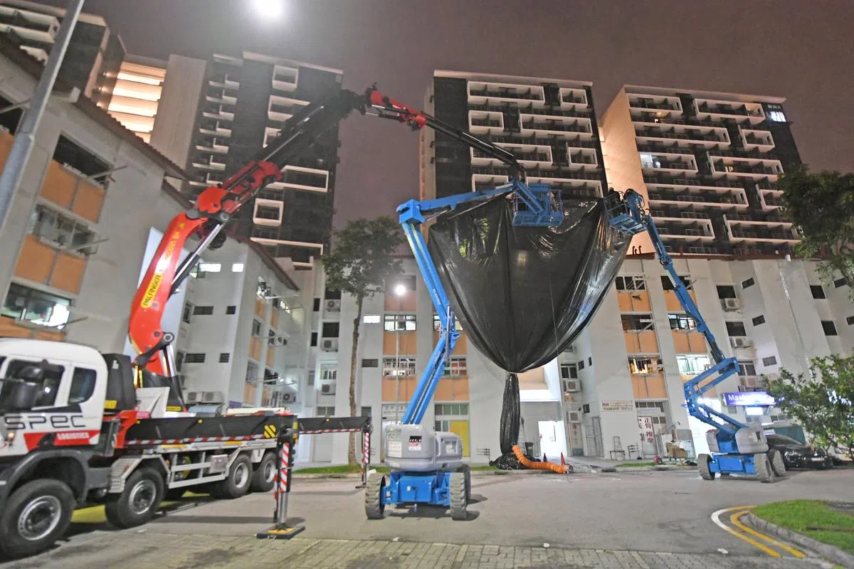  波东巴西一带八哥为患，八哥的噪音和粪便给居民带来困扰，农粮局12月27日晚上出动三辆吊秤车在波东巴西1道第146座组屋后面的停车场撒网捉八哥。（新明日报） 