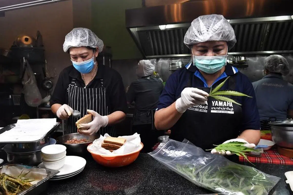大麻合法化后，大麻在当地将可光明正大、名正言顺登上餐桌。（互联网）