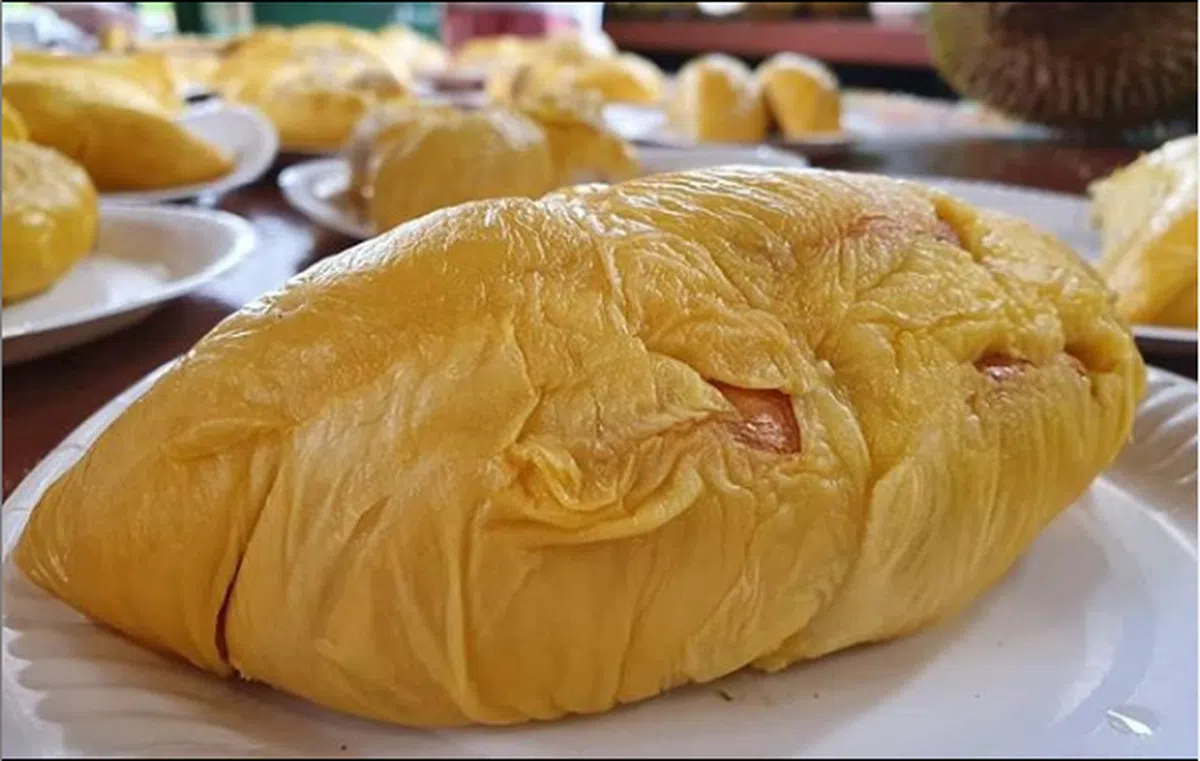  黑金榴梿是上乘“苦肉”品质的猫山王种类之一。（Duriankakisg IG） 