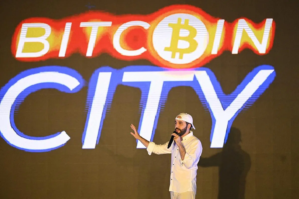 布克尔总统投入近2亿美元公款，开发一个名为“奇沃”的比特币钱包应用。（路透社）
