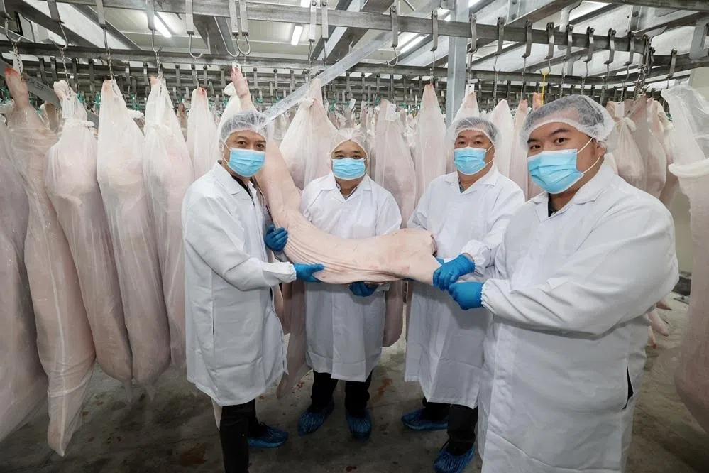 食品局批准中国三家企业冰鲜猪肉进口到本地市场。