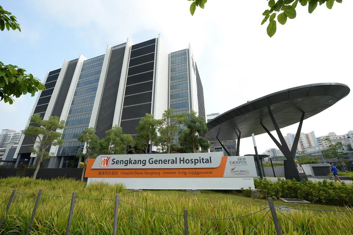 纳都的逃亡之旅在盛港综合医院正式终结。（联合晚报） 