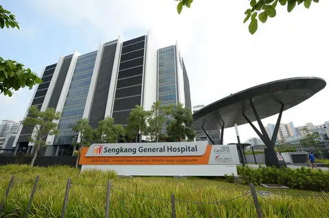 纳都的逃亡之旅在盛港综合医院正式终结。（联合晚报） 