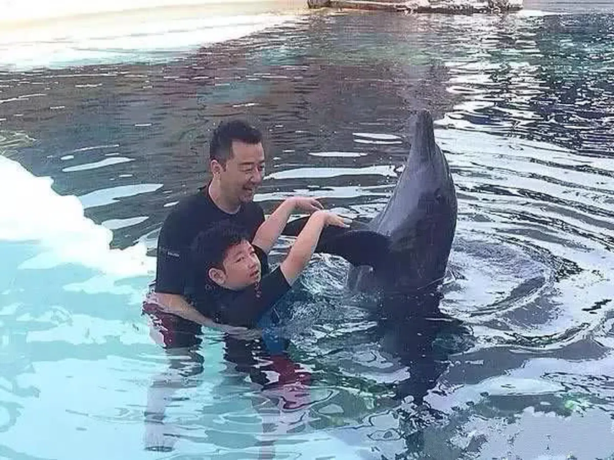  郭涛携带儿子与海豚共舞。（互联网） 