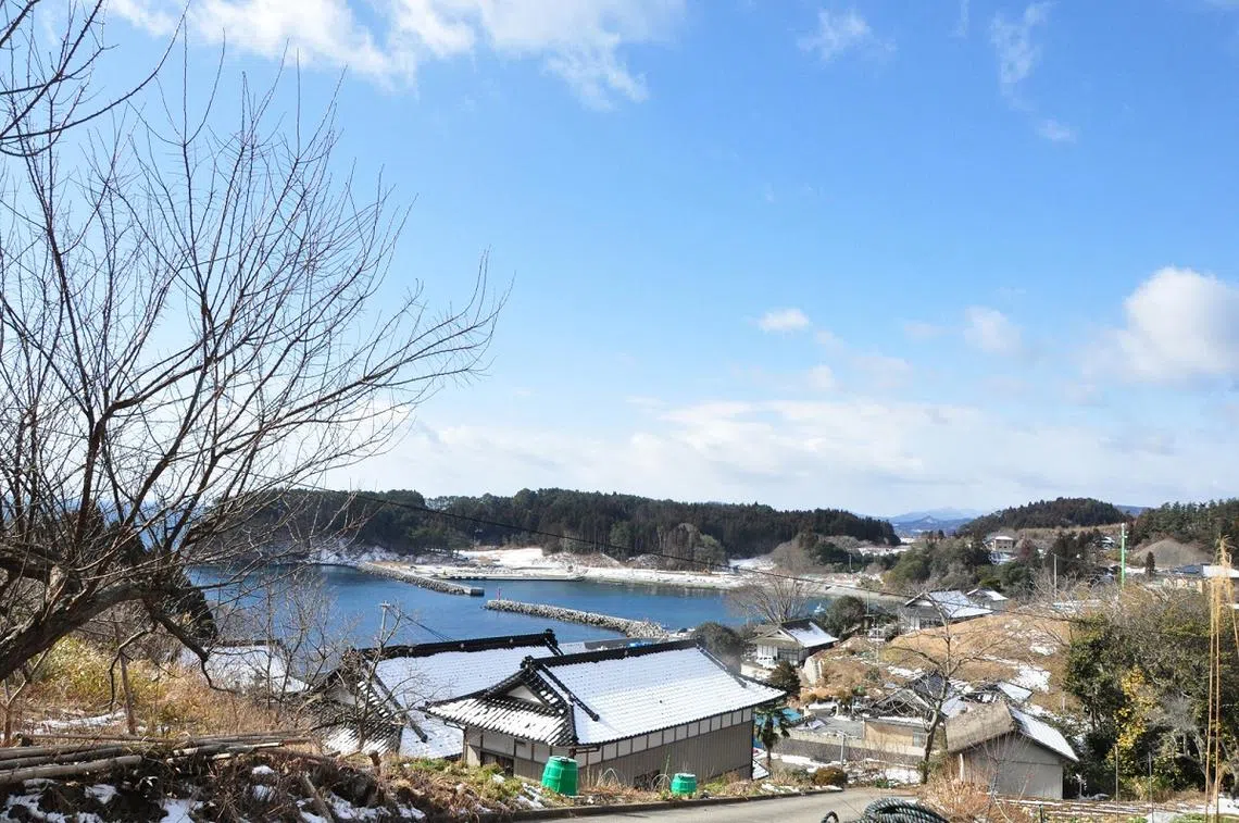 （陆前高田市旅游局）