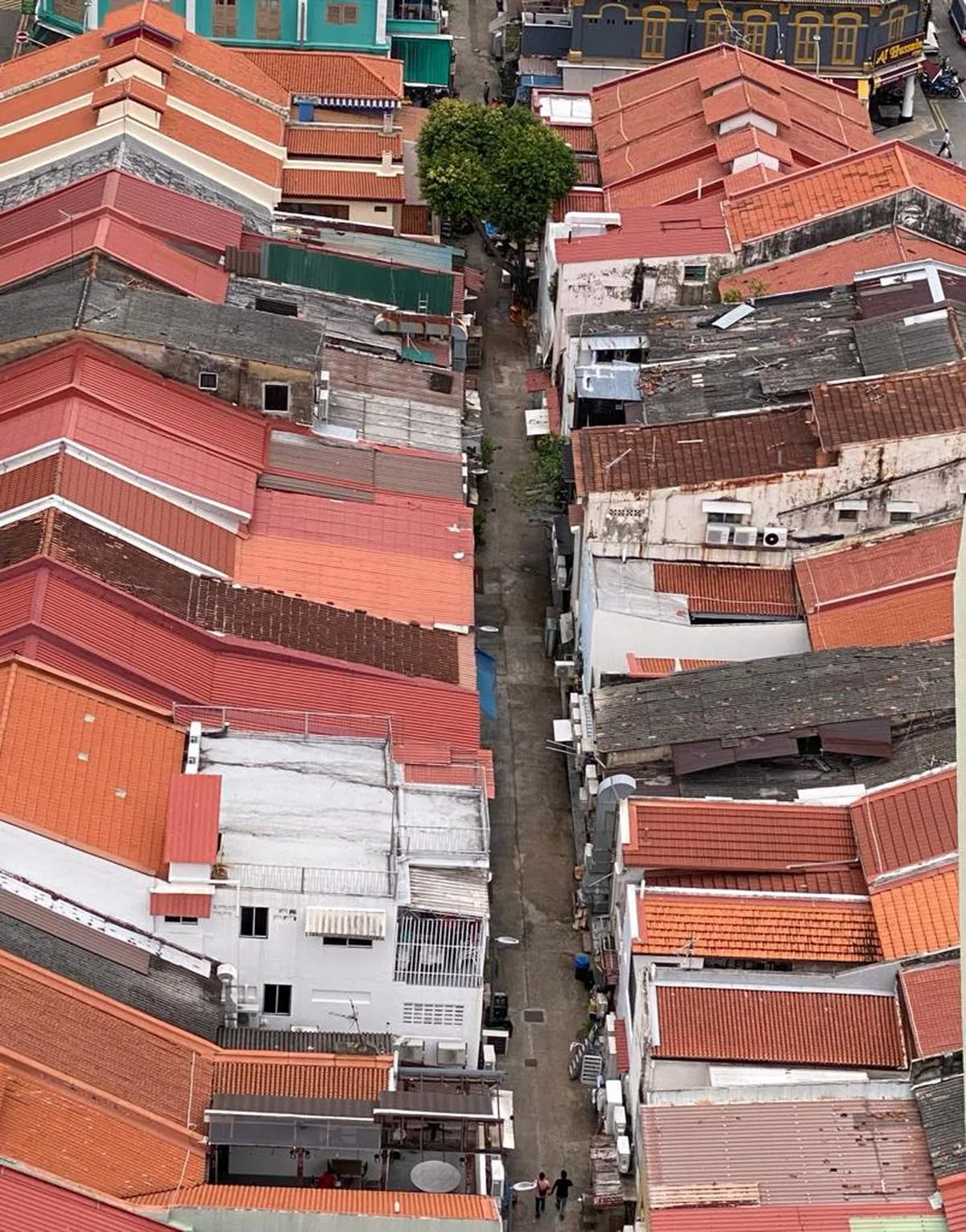 罗威路（Rowell Road）和德斯加路之间的后巷。（叶孝忠摄）