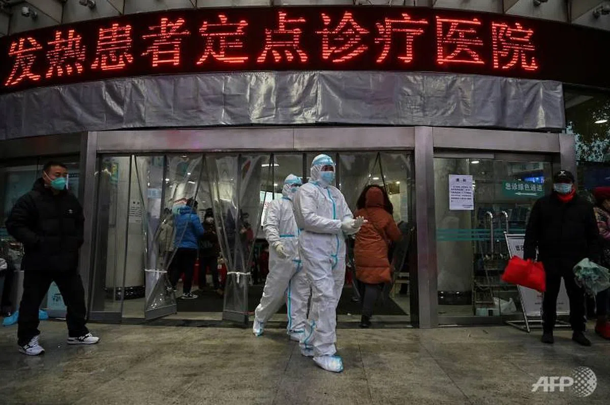  （法新社） 