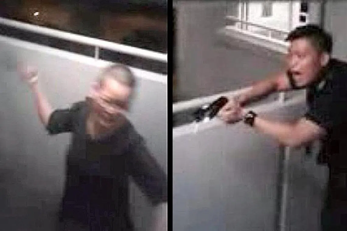 左边是菜刀嫂撒野，右边是警员持着晕眩枪尝试劝服菜刀嫂把刀放下。（新报）