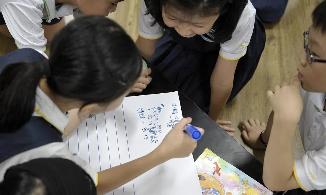 乐赛学校（Rosyth Primary School）小学生在上华文课。（海峡时报）