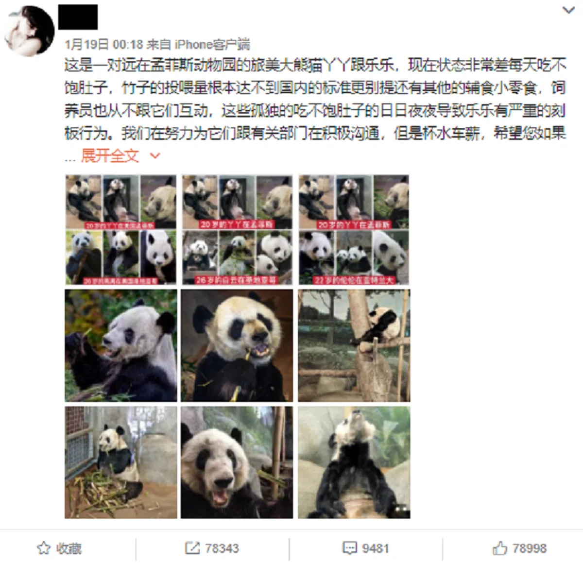  （新浪微博） 