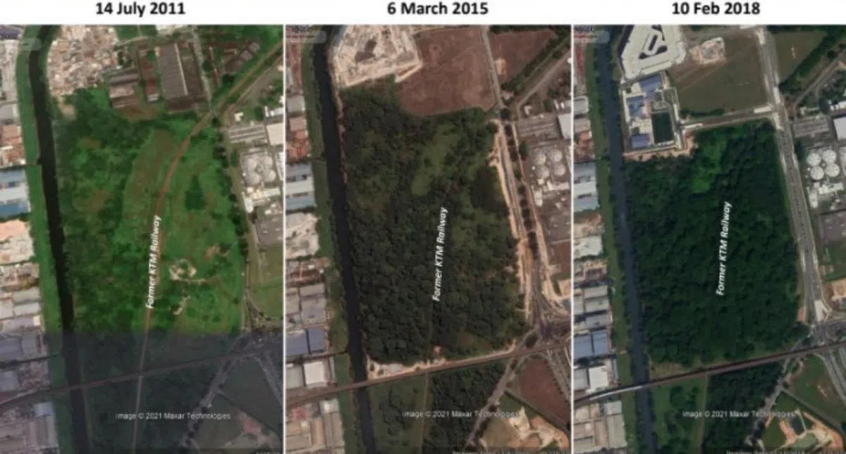  马国铁道公司（KTM）归还土地后，暂时被闲置、等待规划的林地，在几年间长出茂密的植被，其中就有生长速度极快的南洋楹。左起：2011年、2015年及2018年的谷歌地球（Google Earth）照片。（裕廊集团） 