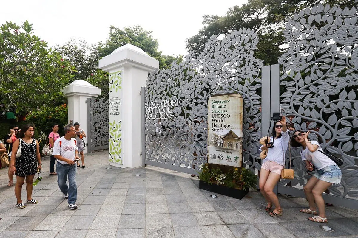 游客纷纷与植物园申遗成功的告示牌合影。（联合早报）