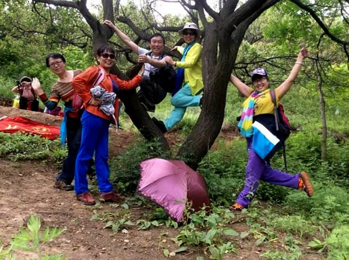  这棵树连花都没有，大妈们也要长在上面，对树有莫名的执着。（互联网） 