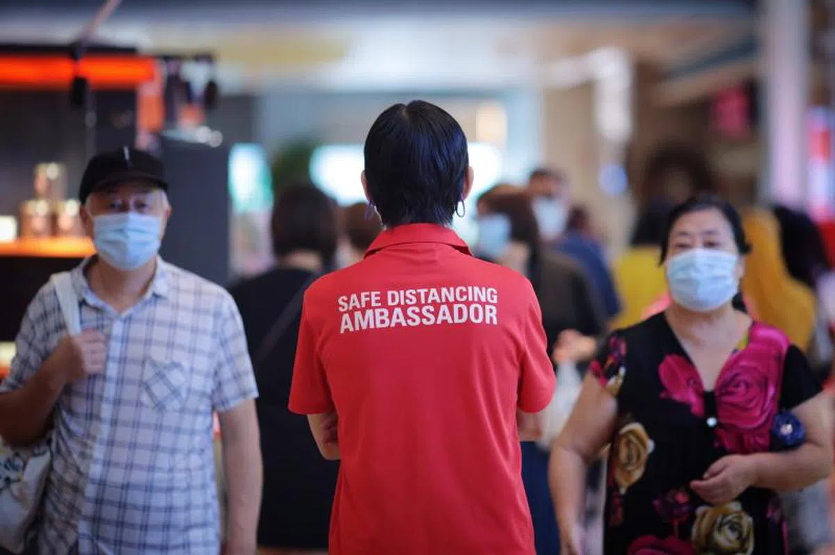 随着我国放松大部分防疫措施，安全距离大使的阶段性任务预料将告一段落。（海峡时报）