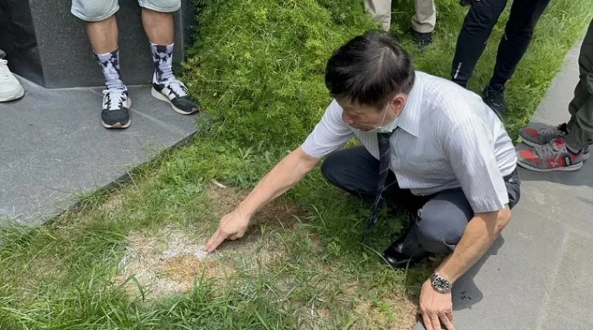 法医高大成发现，赖弟弟坠楼处的草已枯萎泛黄，质疑是死者身上的毒物或坠楼后的呕吐物，造成草也连带受毒害。（台湾联合新闻网）