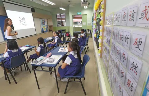 去年，本地24所小学也开始了母语辅助计划（Mother Tongue Support Programme），其中14所小学提供华文辅助计划，帮助有需要的学生，让他们跟得上进度。（联合早报）