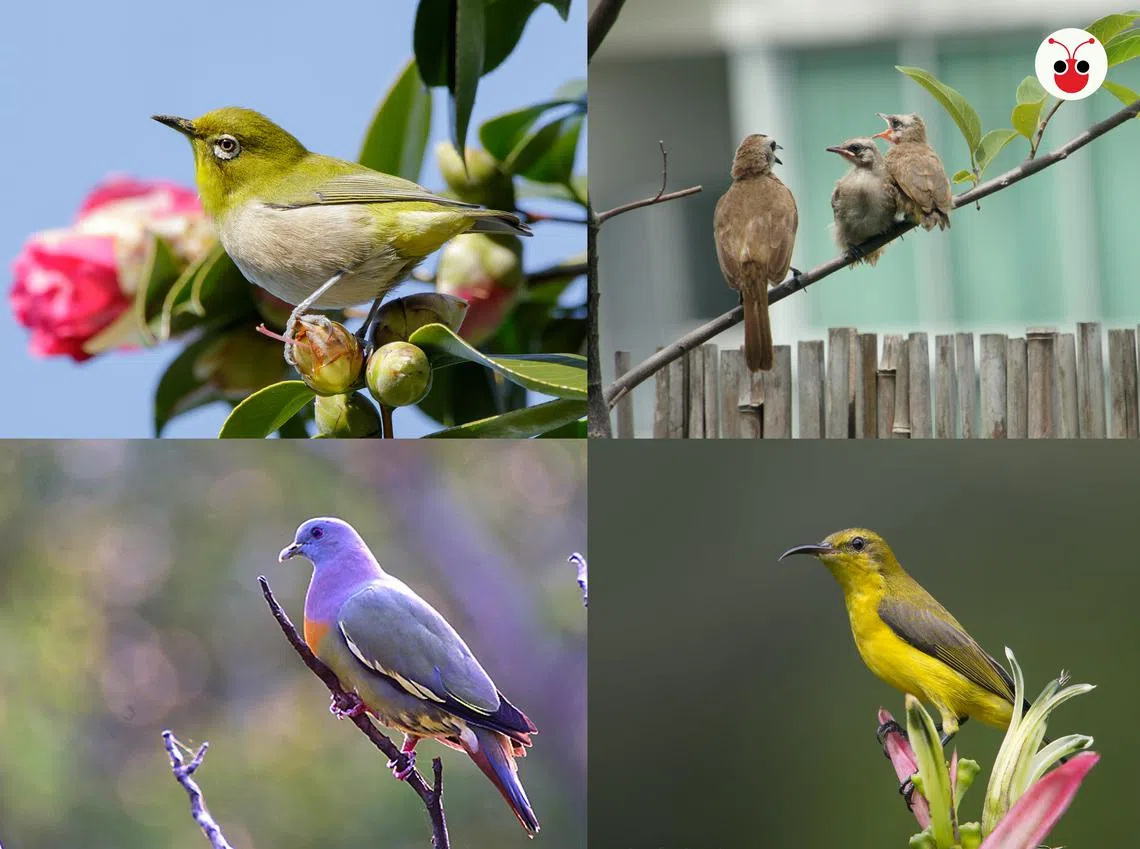 （陈姿潓制图）