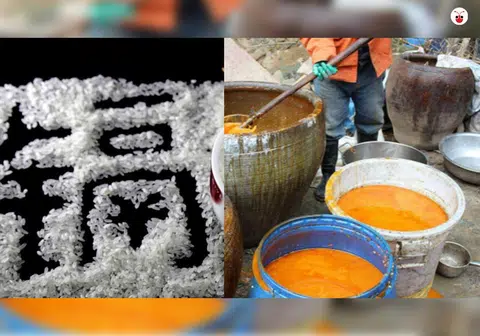 路边小吃的油怕是地沟油，米也怕是塑料米，35的中上游排名确实让一些人难以相信。（互联网）