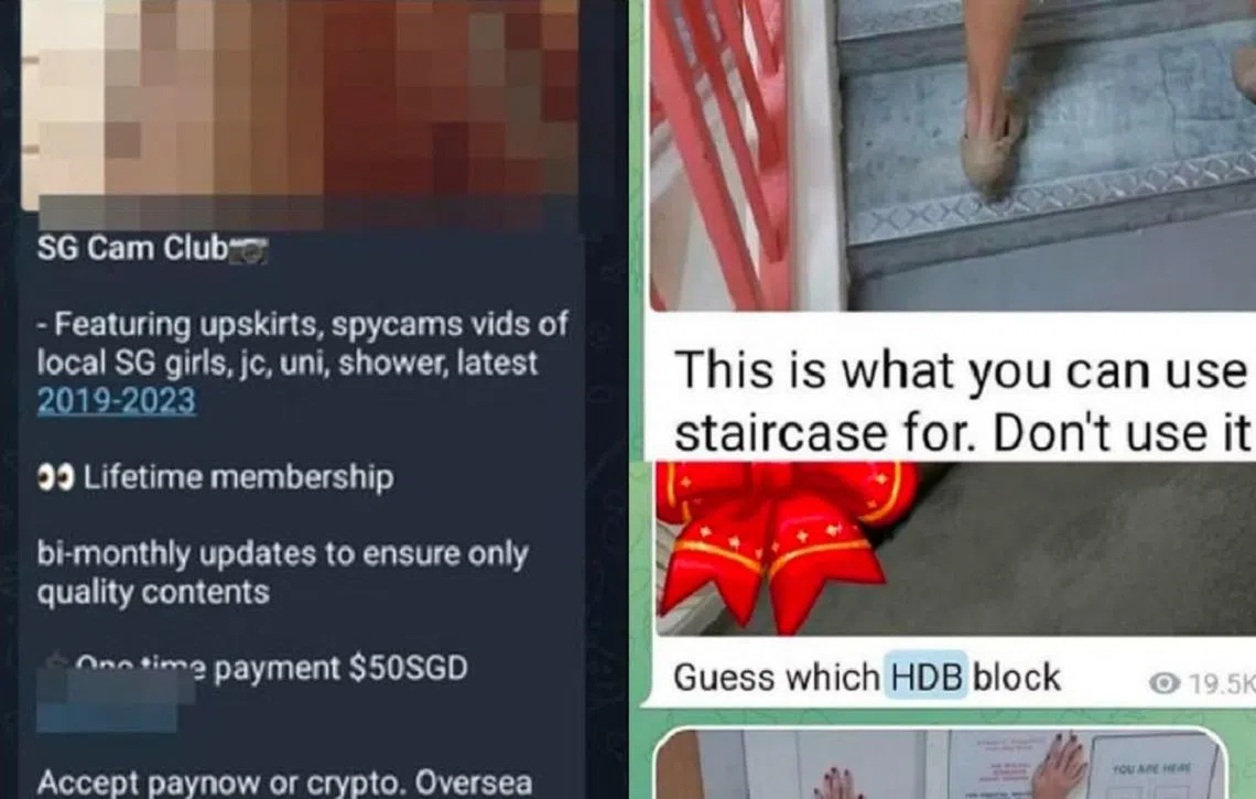 通讯应用Telegram上近日出现多个色情群组和频道。（网上截图／红蚂蚁制图）