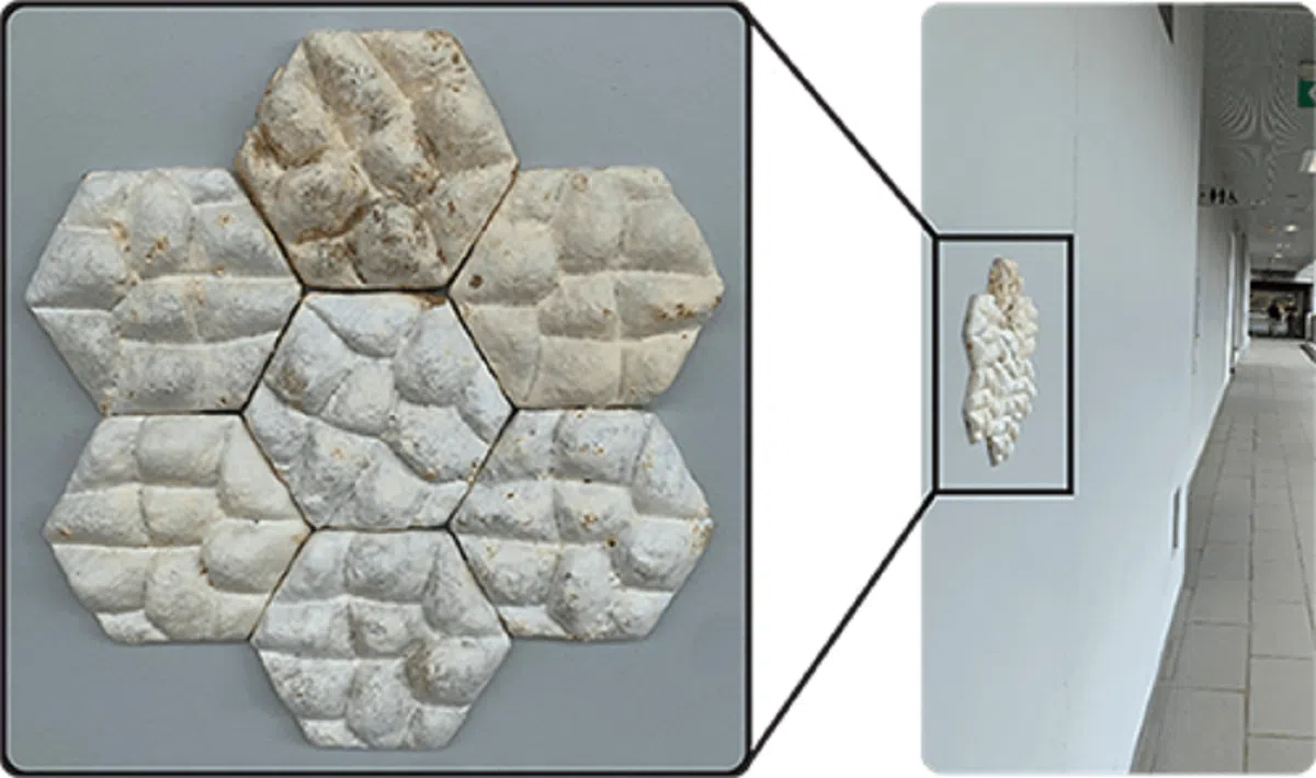 类似大象皮肤的瓷砖。（市区重建局）